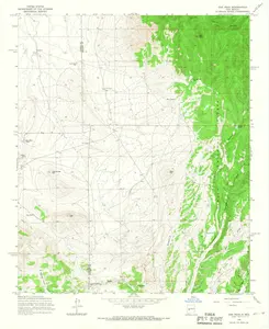 Oak Peak New Mexico USGS Topographic Quadrangle Map, 1965, 1:24000