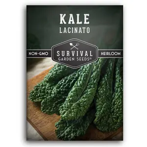 Kale Lacinato (Dinosaur) Seed - Non-GMO, Heirloom, Non-GMO, Survival Garden Seeds