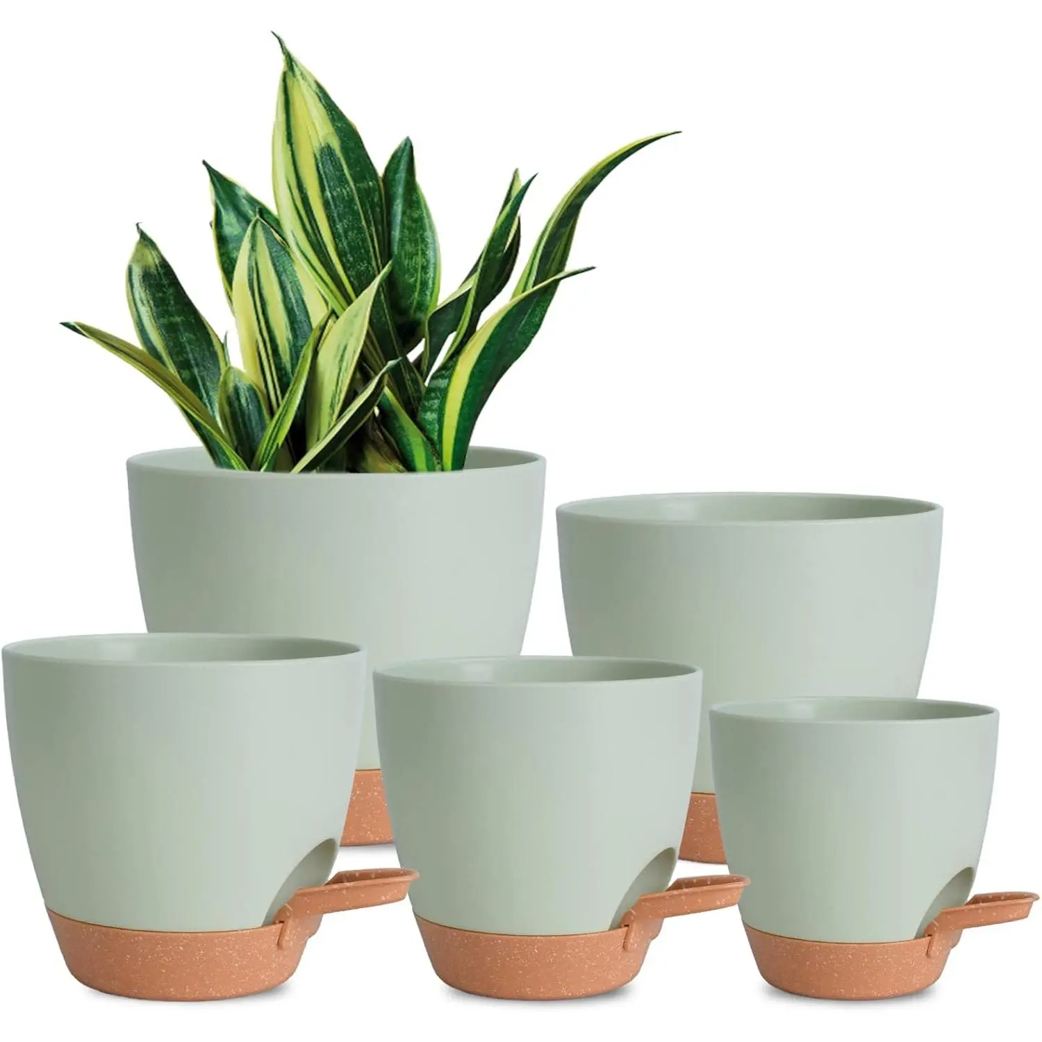 Pots Indoor 7/6.5/6/5.5/5 Inch Self Watering Planters for Indoor  with Drainage Hole, Plastic Flower Pots for ,  Violet (Green)