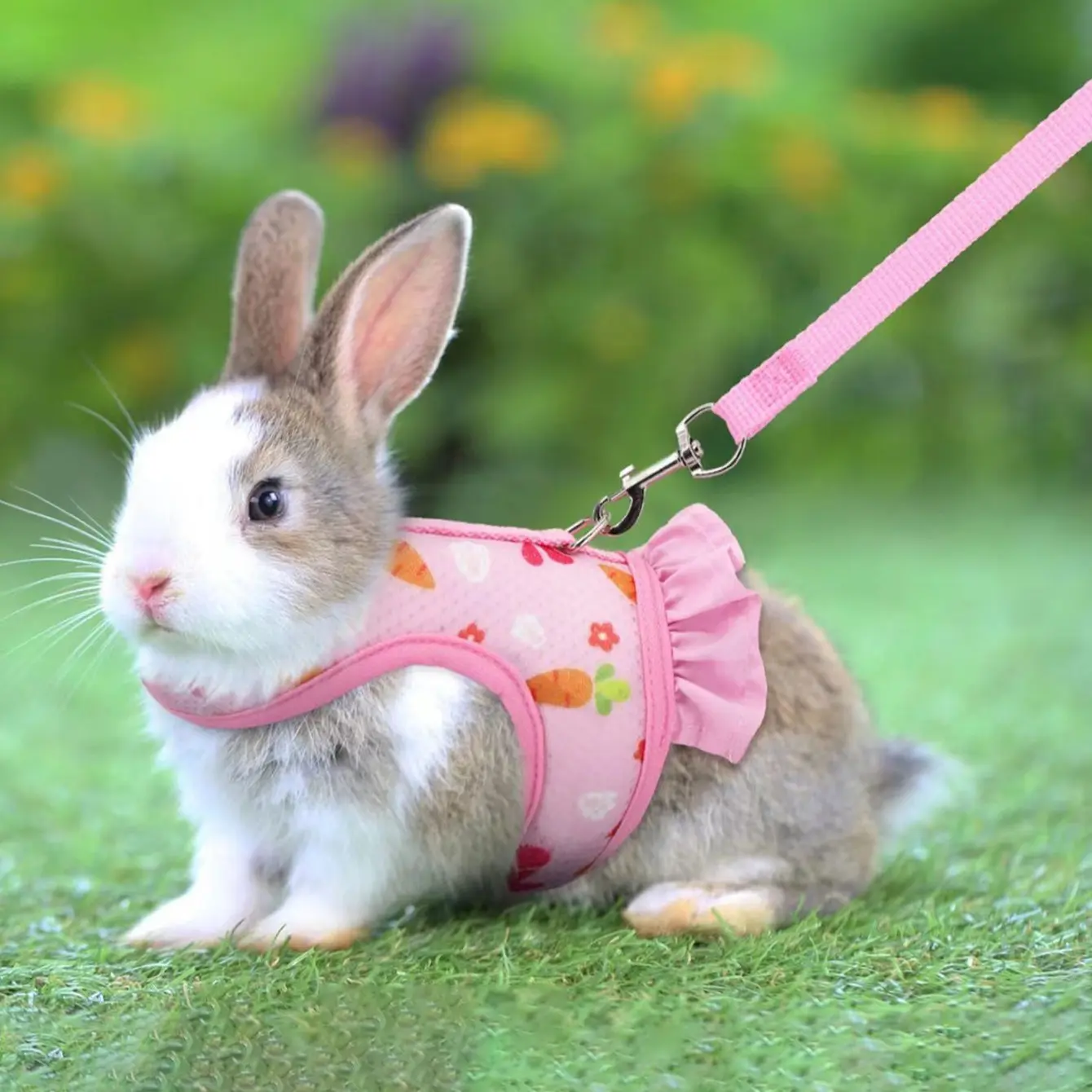 Small Pet Chest Harness Set, Rabbit Dutch Pig Small Dog Cat Vest Leash, Heart-Shaped Tie Rope, Pet Supplies, Comfortable & Durable Design, Walking Harness, Bunny Harness And Leash