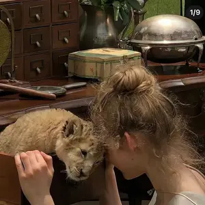 background preload poster image 