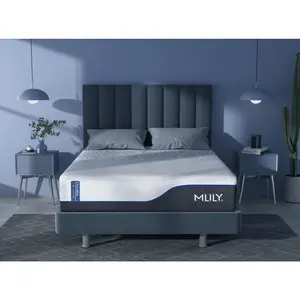 Mlily ChiroPro 3.0