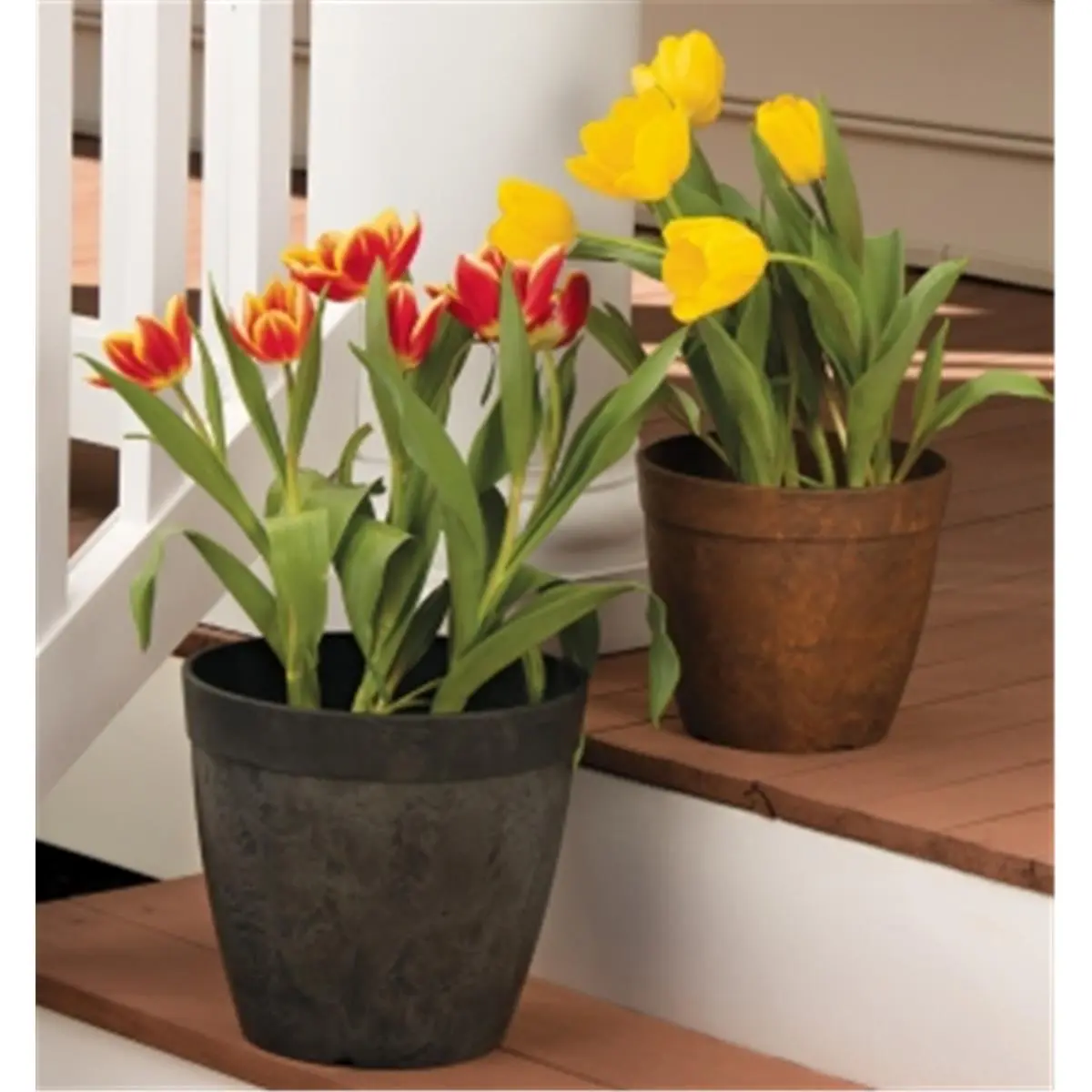 Novelty Manufacturing 246460 8 in. Round Dolce Planter - Rust