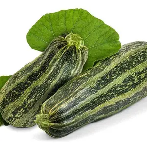Zucchini Seeds - Summer - Bush - Caserta