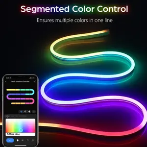 12V LED Flexible Neon Light Strip With Full Color Flowing Light