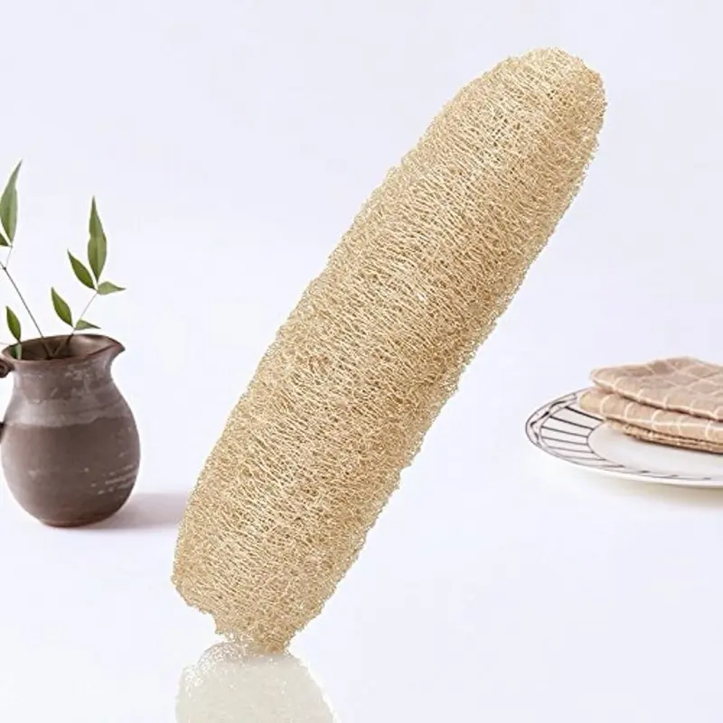 A 100% Natural Organic Sponge Bath Sponge Premium Quality Lofa Loofa Luffa Loffa for exfoliating Your Skin