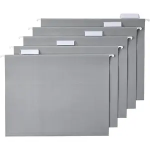 Basics Sturdy Hanging File Folders, Letter Size, Gray, 25Pack