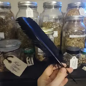 Black Feather (Smudge Fan)