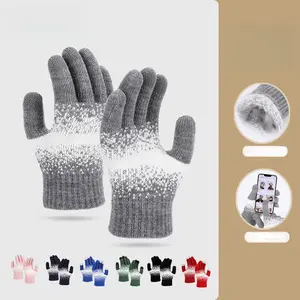 Winter New Arrival Women's Knitted Gloves Korean Style Five-Finger Warm Fleece Lined Thickened Material Touchscreen Compatible