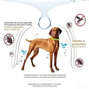 Cat and dog deworming collar, flea and tick removal with buckle, pet deworming collar