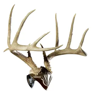 Skull Hooker - Bone Bracket Skull Cap Combo - Brown/Black