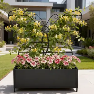 Metal Raised Garden Bed for Climbing Vegetables & Flowers Butterfly Trellis planter box