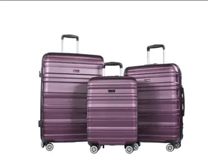 Hardside Luggage Set 3-Piece Set(21/25/29) Lightweight Suitcase 4-Wheeled Suitcase Set(Dark Purple)