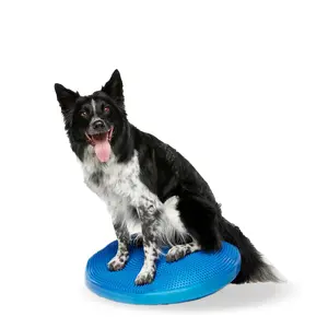 Pet Sensory Balancing Disc, Stability Wobble Cushion for Dogs, Improves Coordination & Core Strength, Dog Workout Tool