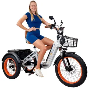 3SCORE Rear Drive Foldable Electric Trike – Premium Metallic Silver