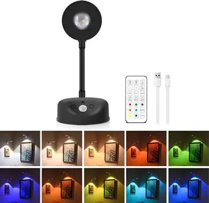 Motion Sensor RGB Picture Lights for Wall,  2000mAh Wireless Rechargeable LED Painting Light with Remote Timer, 3-Color Temperatures & 16-Colors, Dimmable Art Light for Canvas, Frames, Posters, Gallery, Bedroom Decor lamp