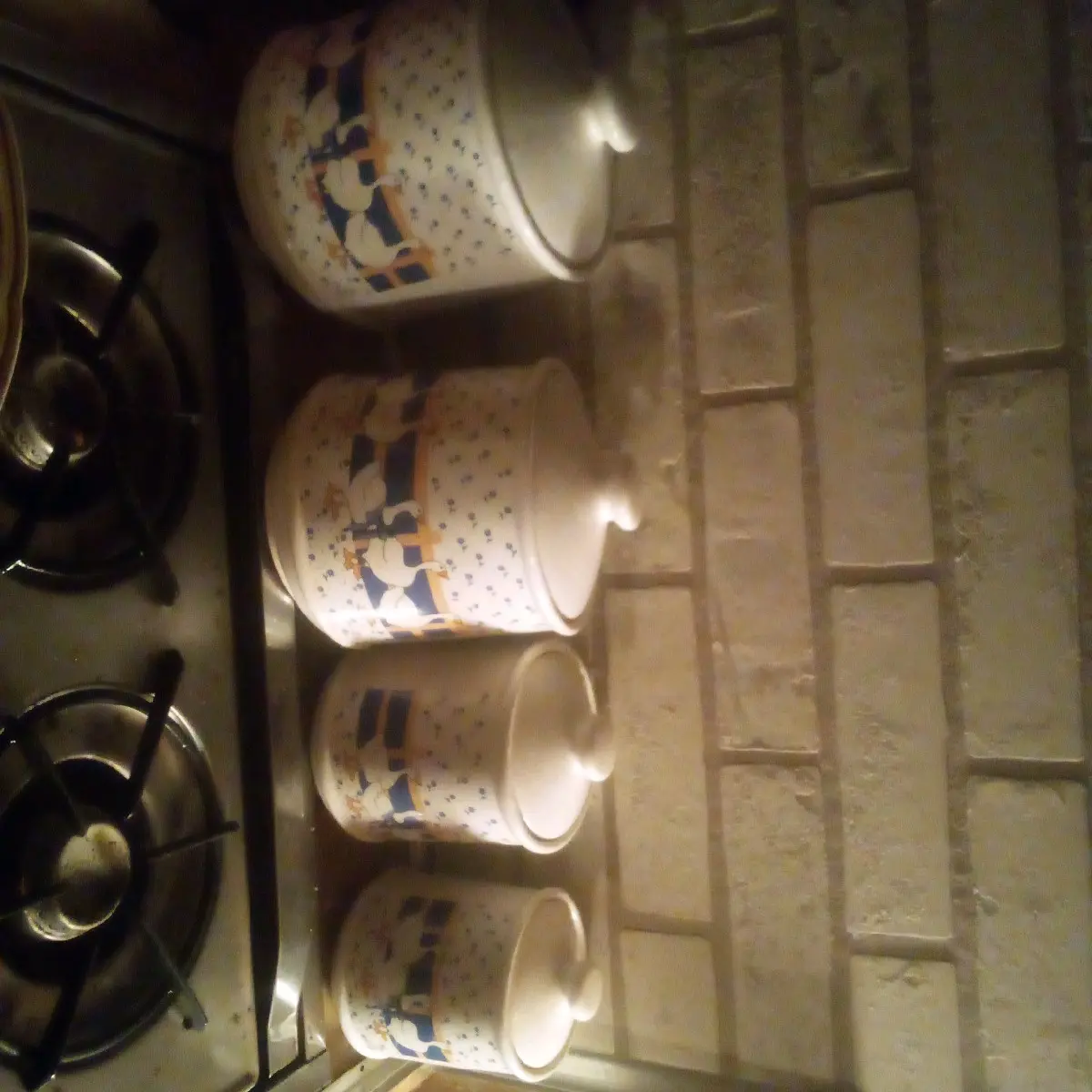 Geese canisters
