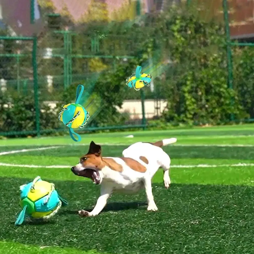 Indestructible 2-In-1 Dog Ball Frisbee with Rope - All Pet Haven