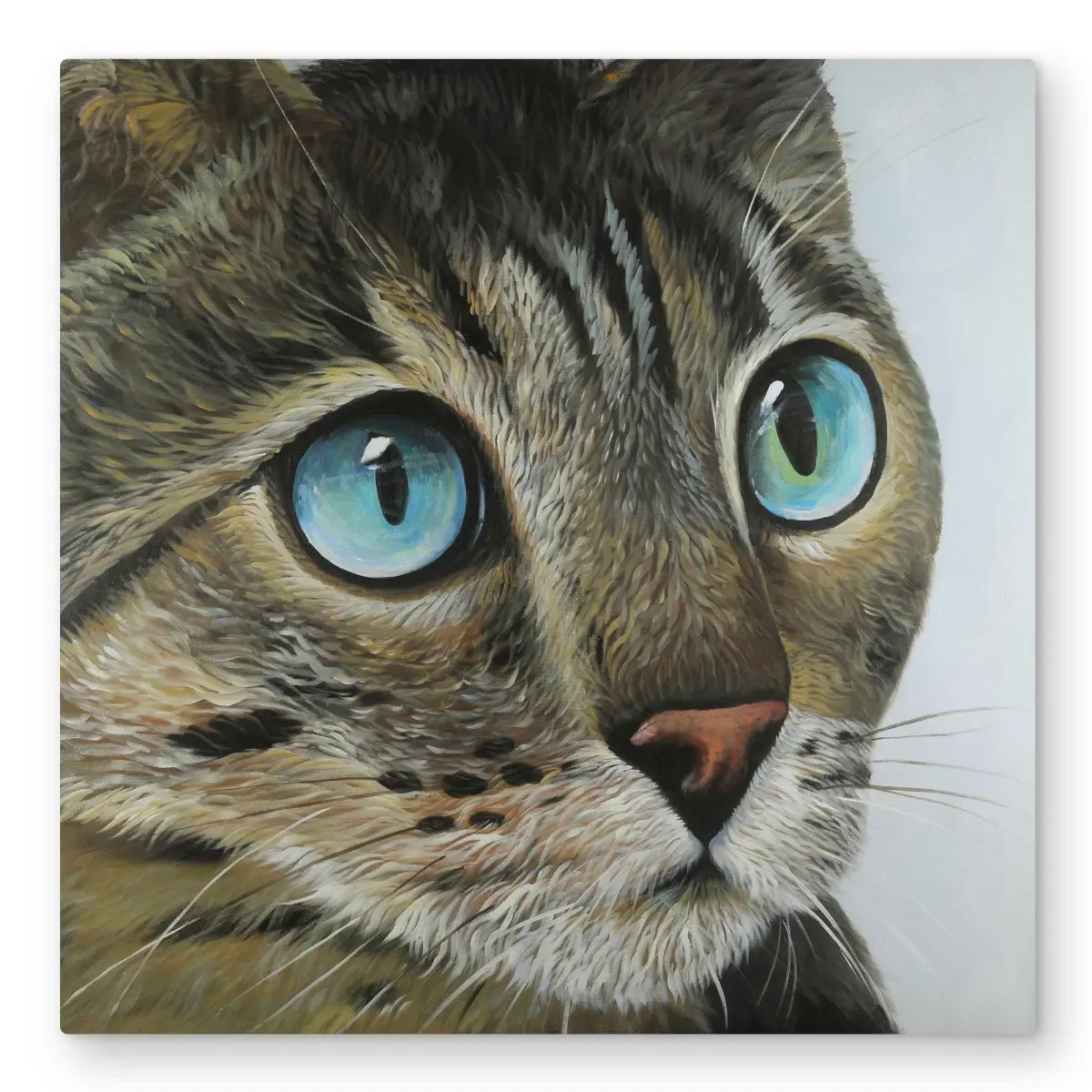 Begin Home Decor C1MP32326N0WGN 32 x 32 in. Curious Cat Portrait Wall Art - Animals Livingroom Metal Print Decor