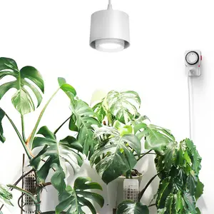 Barrina TR40 Hanging Plant Lights for Indoor Growing, 40W 5000K Full Spectrum, Adjustable Beam Angle (15°-60°), High PPFD, Spotlight Grow Light with Timer for Indoor, Large Tall Plant, Flowers, White