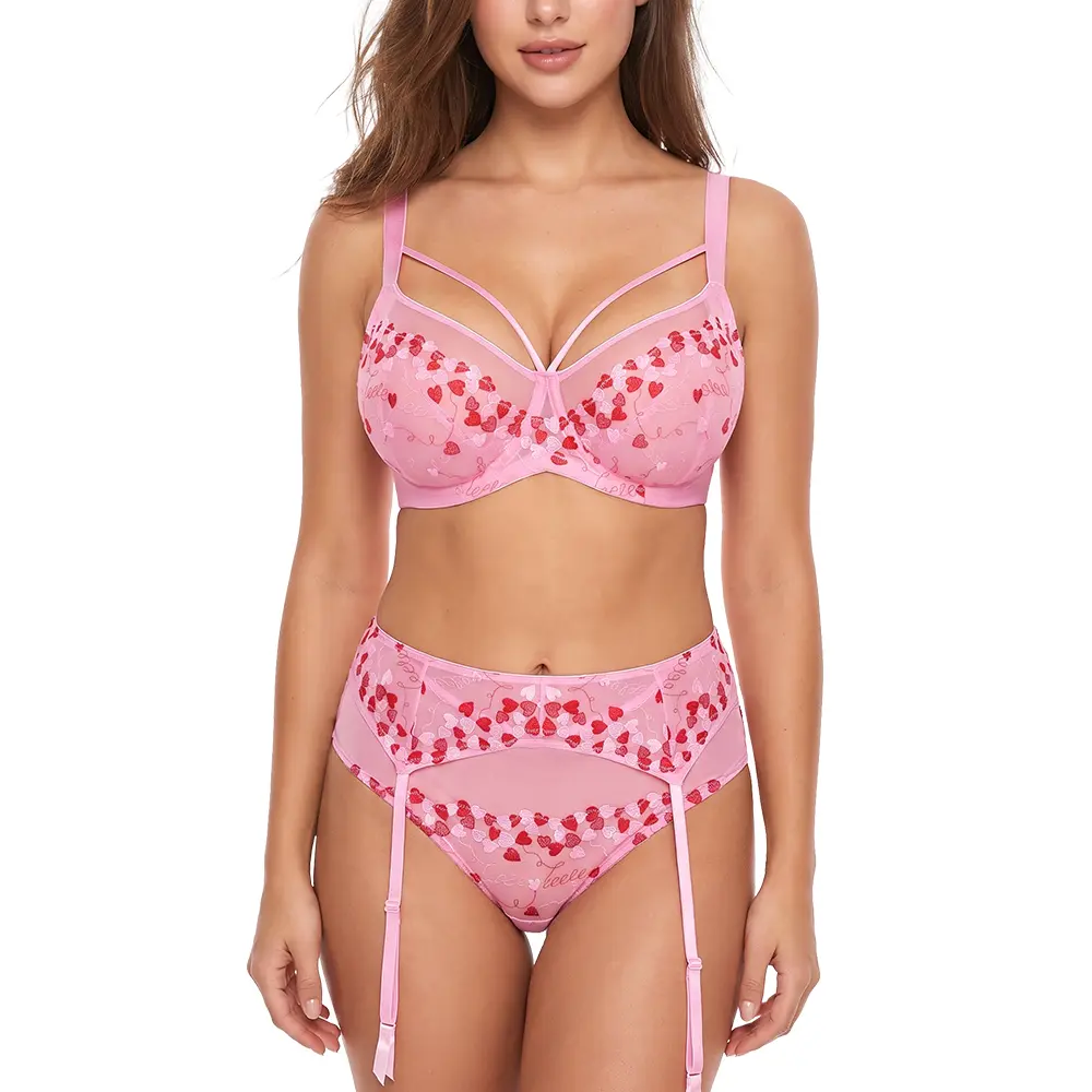 HSIA Renna Holiday Edit Embroidered Mesh Brief Thong and Garter Belt Set Sexy Sheer Lingerie Bottoms