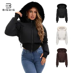 BIGWIG women's long-sleeved autumn and winter short down jacket, with hood for going out, basic parka, jacket, hooded jacket, girls zipper jacket, 2025 fashion new style, long-sleeved puffy jacket, stand-up collar zipper, quilted filling