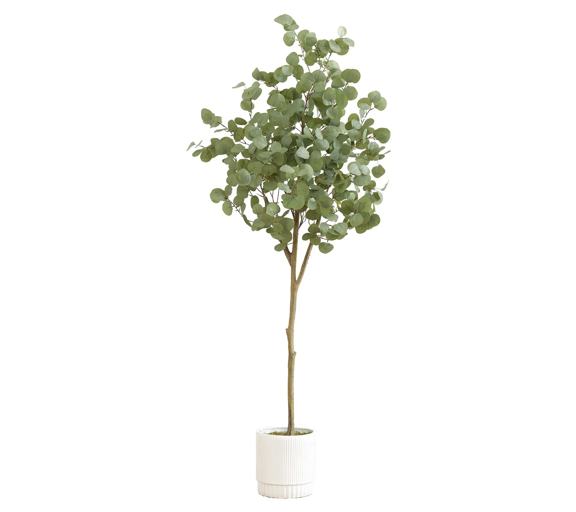 Nearly Natural 6' Artificial Eucalyptus Tree with Planter
