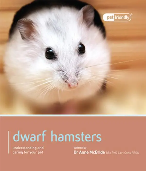 USED-Dwarf Hamsters. by McBride, Anne (Paperback)