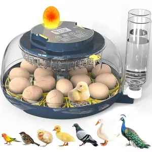 18-Egg Incubator — Fully Automatic Egg Turning & Water Refilling; Features Digital Temperature & Humidity Display, Incubation Countdown Timer, and Built-in Egg Candler; 360° Panoramic Viewing Design; Suitable for Incubating Chicken, Duck, and Quail Eggs.