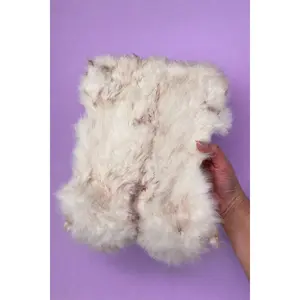 Dehydrated Rabbit Hide Plate