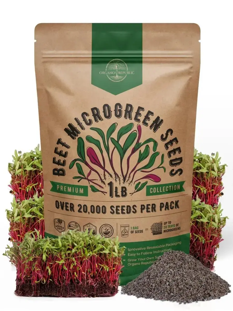 Beet Microgreens & Sprouting Seeds – Non-GMO Heirloom