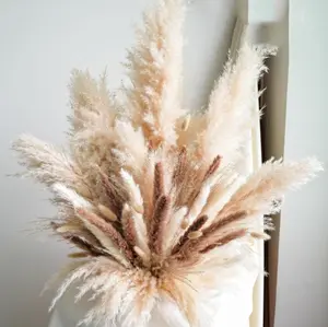 Decorative Tall Pampas Grass for Floor Vase – Premium Large Pampas Grass Stems, 17"-40" Natural Dried Pampas Grass Decor with Beige Feathers, Boho-Inspired Decoration.