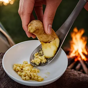 Stainless Steel Ginger Grater Spoon - 1pc Manual Garlic Masher for Pureeing Garlic Ginger, Durable Cookware Accessory Utensils Kitchen