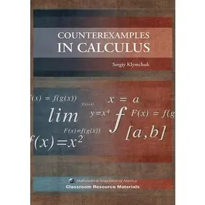 USED-Counterexamples in Calculus by Klymchuk, Sergiy (Paperback)