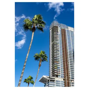 Graffiti Sky Scrapper Downtown Los Angeles Photo Print Multi Size Print