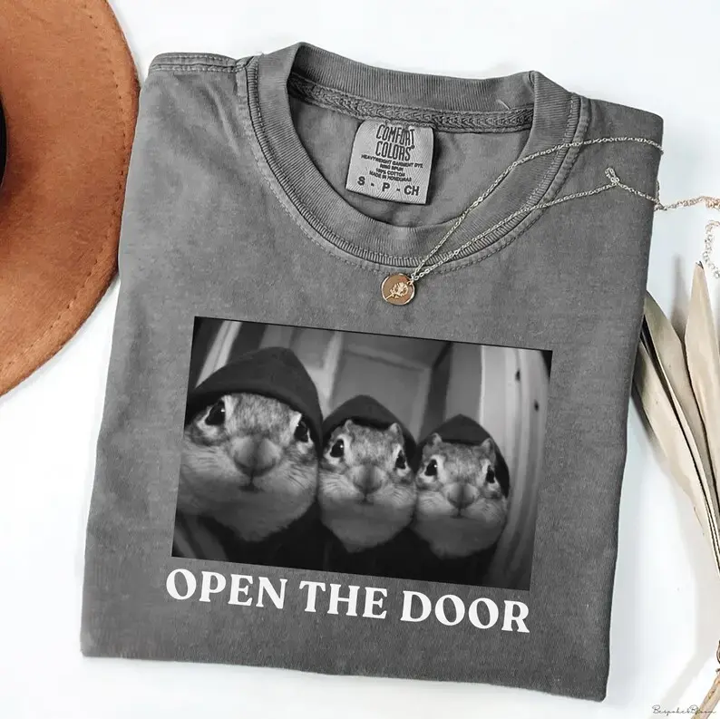 Funny Chipmunk Gang Comfort Colors Shirt, Sarcastic Chipmunk Meme Tee, Oversized Unisex Animal T-Shirt, Black White Graphic Shirt, Funny Animal Gift