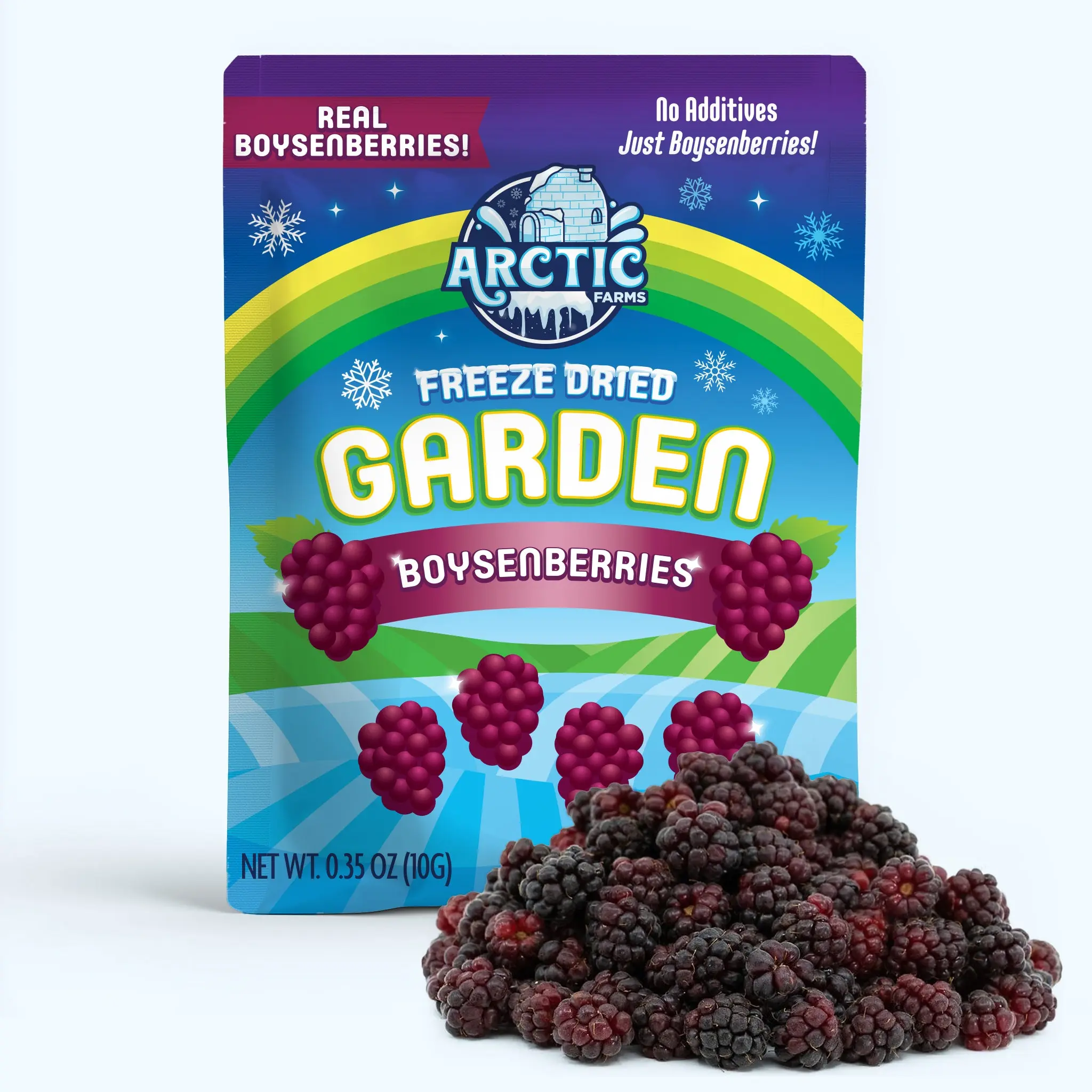 Freeze Dried Boysenberry Freeze Dried Boysenberry