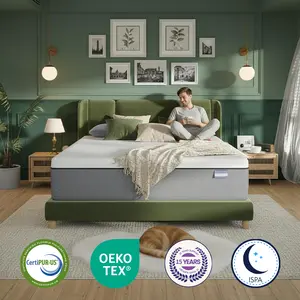 【Fully Removable】Fansace 10 inch Queen size gel memory foam mattress for Pressure Relief & Back Pain,Washable Breathable Cover mattress   night trial luxurious sleep  Breathable  gel memory foam mattress latex  mattress