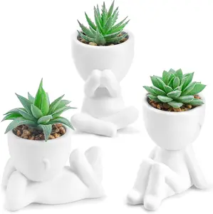 Der Rose 3-Pack Plastic Artificial Flower Plant Set, Decorative Fake Succulents for Room, Desk - Home Office Bathroom Decor, Ideal Gift
