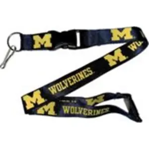 Aminco International  Lanyard - Michigan