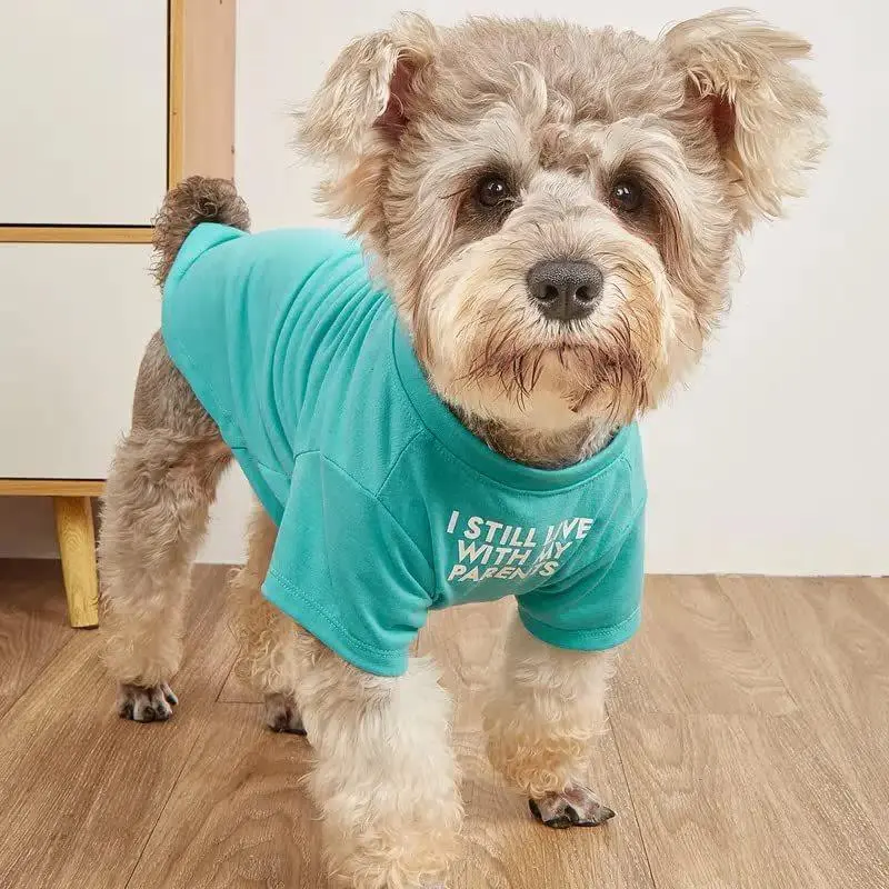 Dog Cat Round Neck T-Shirt, Soft Pet Clothes for Puppy Kitten, Cute Everyday Pet Apparel for Small Medium Dogs Cats