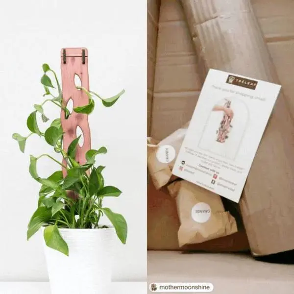 Zella - Wooden Extendable Plant Support