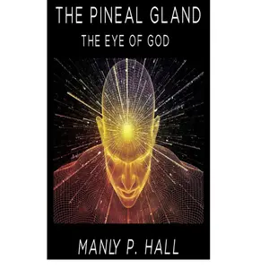 The Pineal Gland: The Eye Of God Hardcover – June 24, 2020