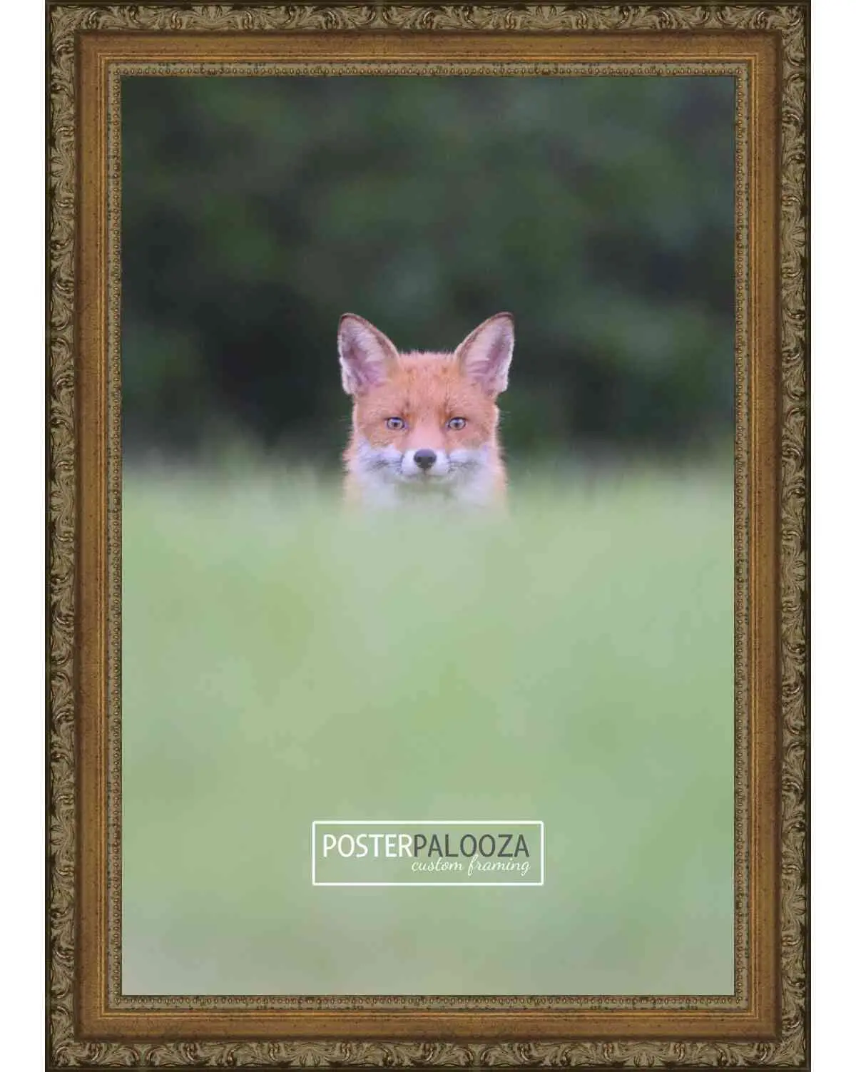 30x40 Sculpted Gold Picture Frame - UV Acrylic, Foam Board Backing, Hanging Hardware