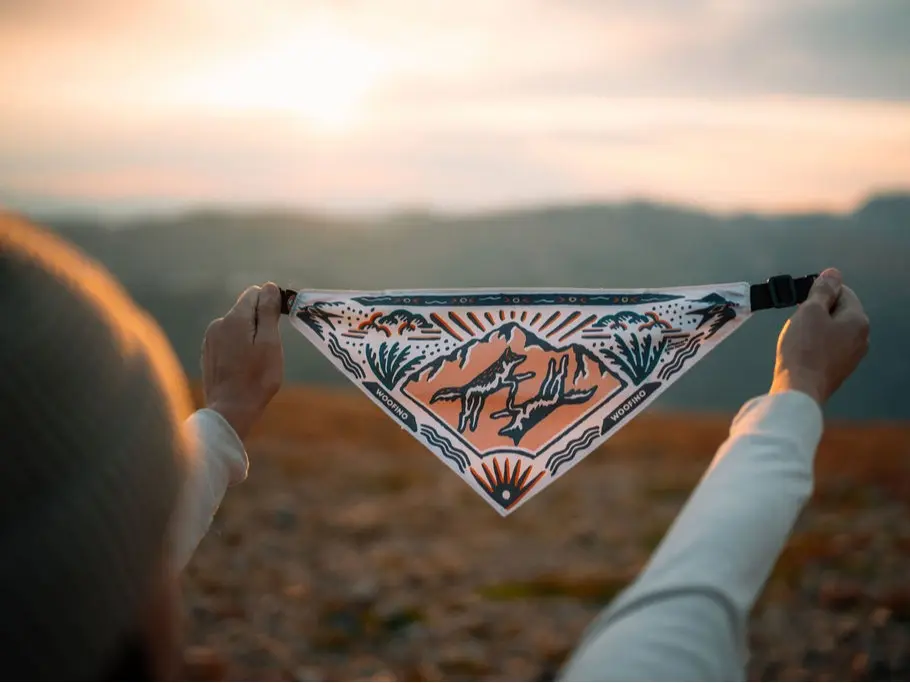 Woofino Wearable Travel Water Bowl Bandana