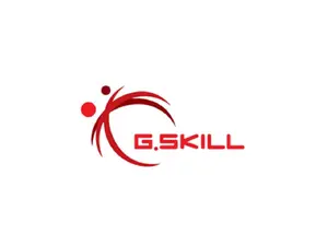 G.SKILL 8GB Desktop Memory Model F4-3200C16S-8GVKB