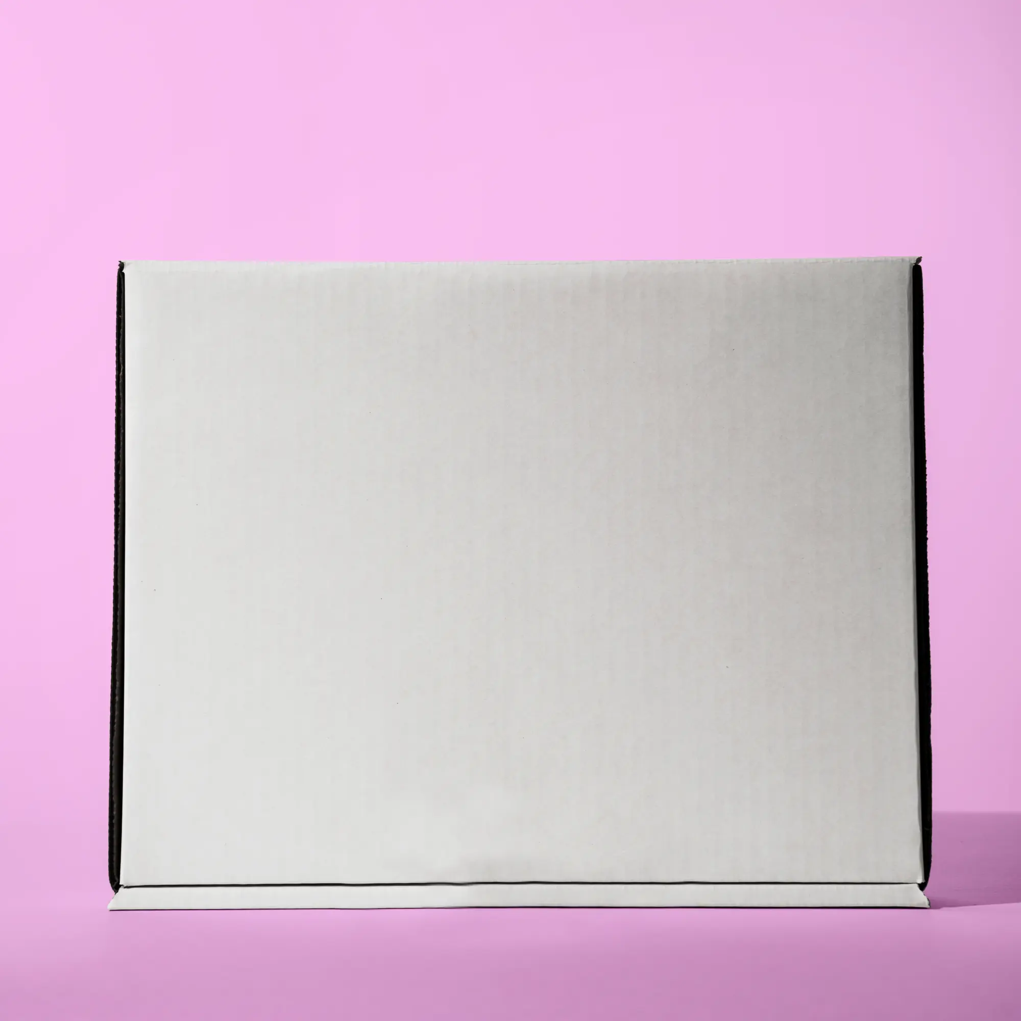 Blank Literature Mailer Box / 300 units