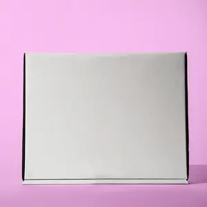 Blank Literature Mailer Box / 500 units