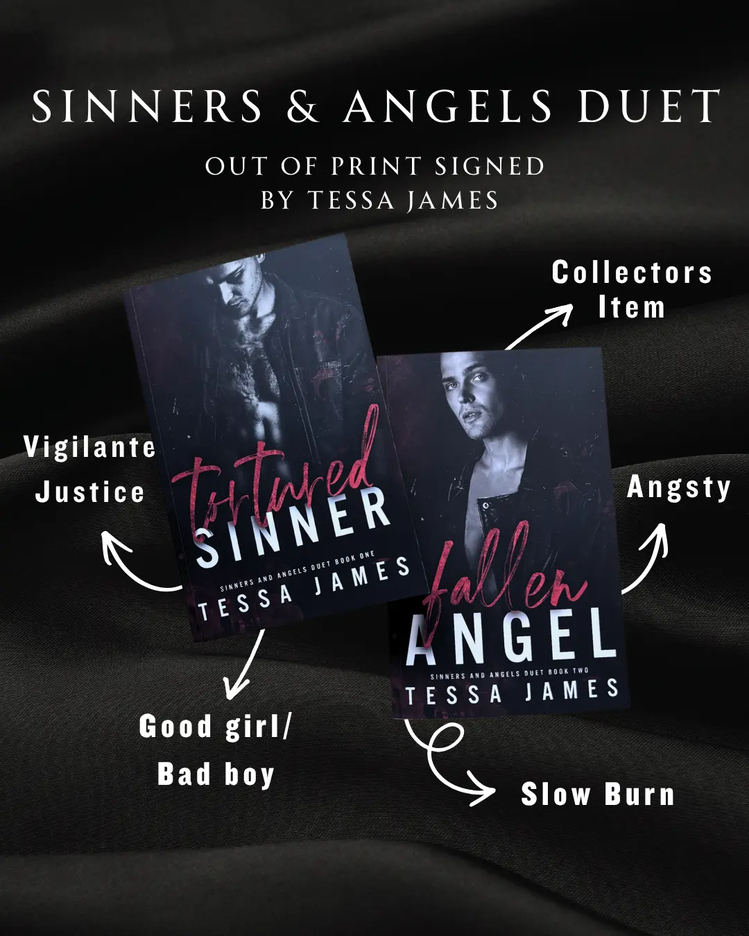 Sinners & Angels Duet by Tessa James (Romantic Suspense Duet) Paperback (OUT OF PRINT)