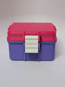 11-Slot Modular Peptide & Vial Case (3ml & 10ml) - Fireworks Design